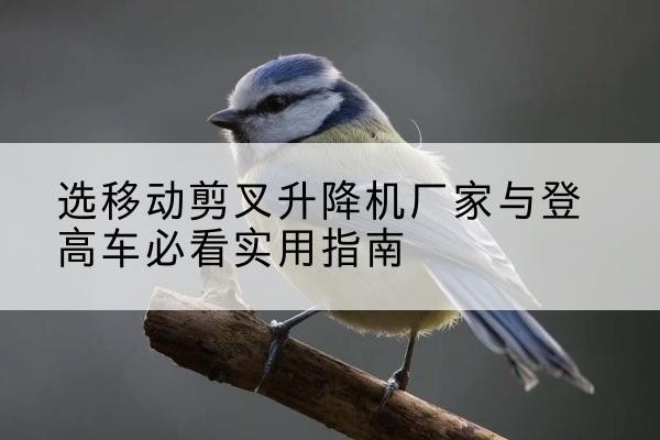 蒲江电动升降机厂家-选移动剪叉升降机厂家与登高车必看实用指南