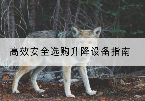 蒲江升降货梯厂家推荐-*安全选购升降设备指南